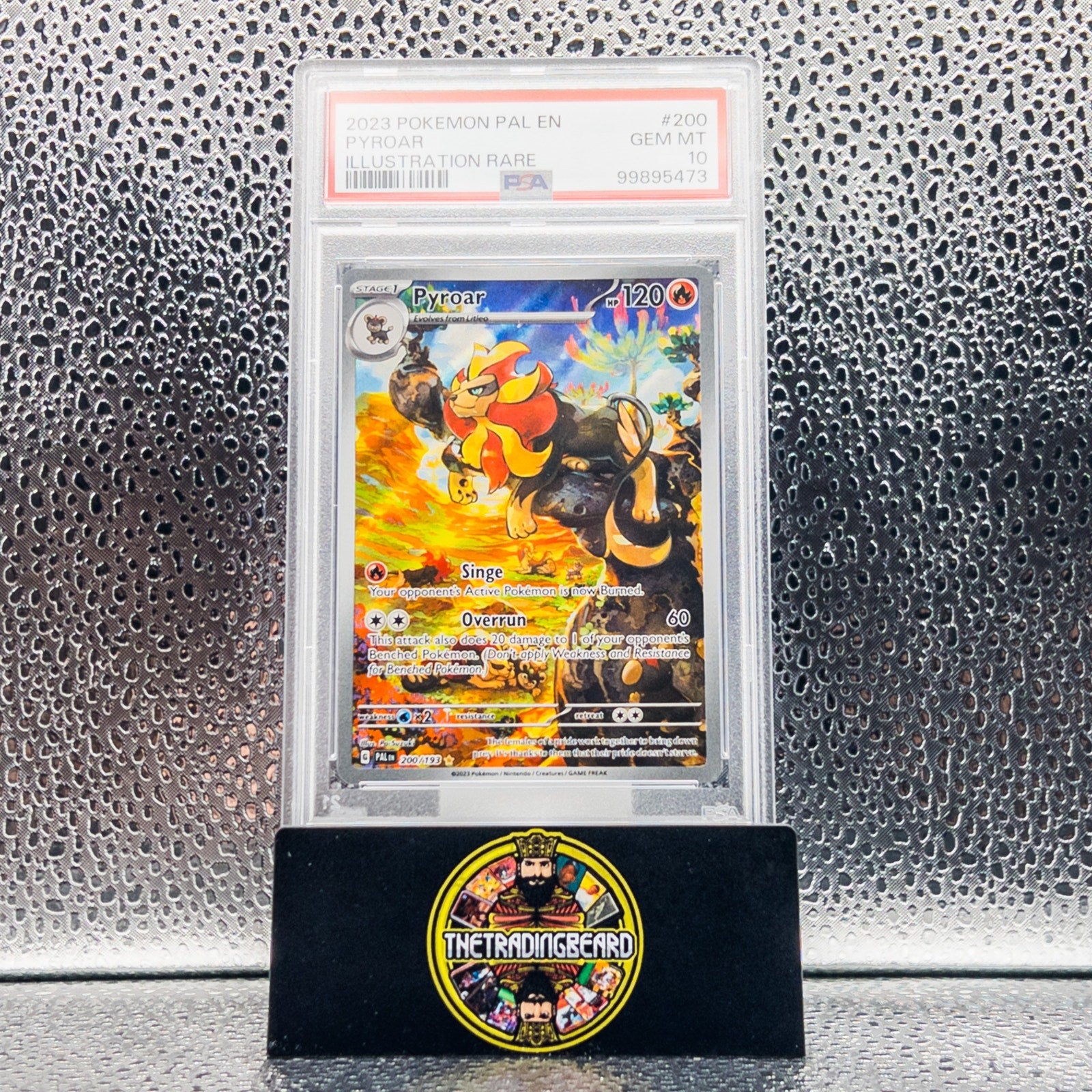 PSA 10 - 2023 Pokemon Pal En-Paldea Evolved Pyroar #200