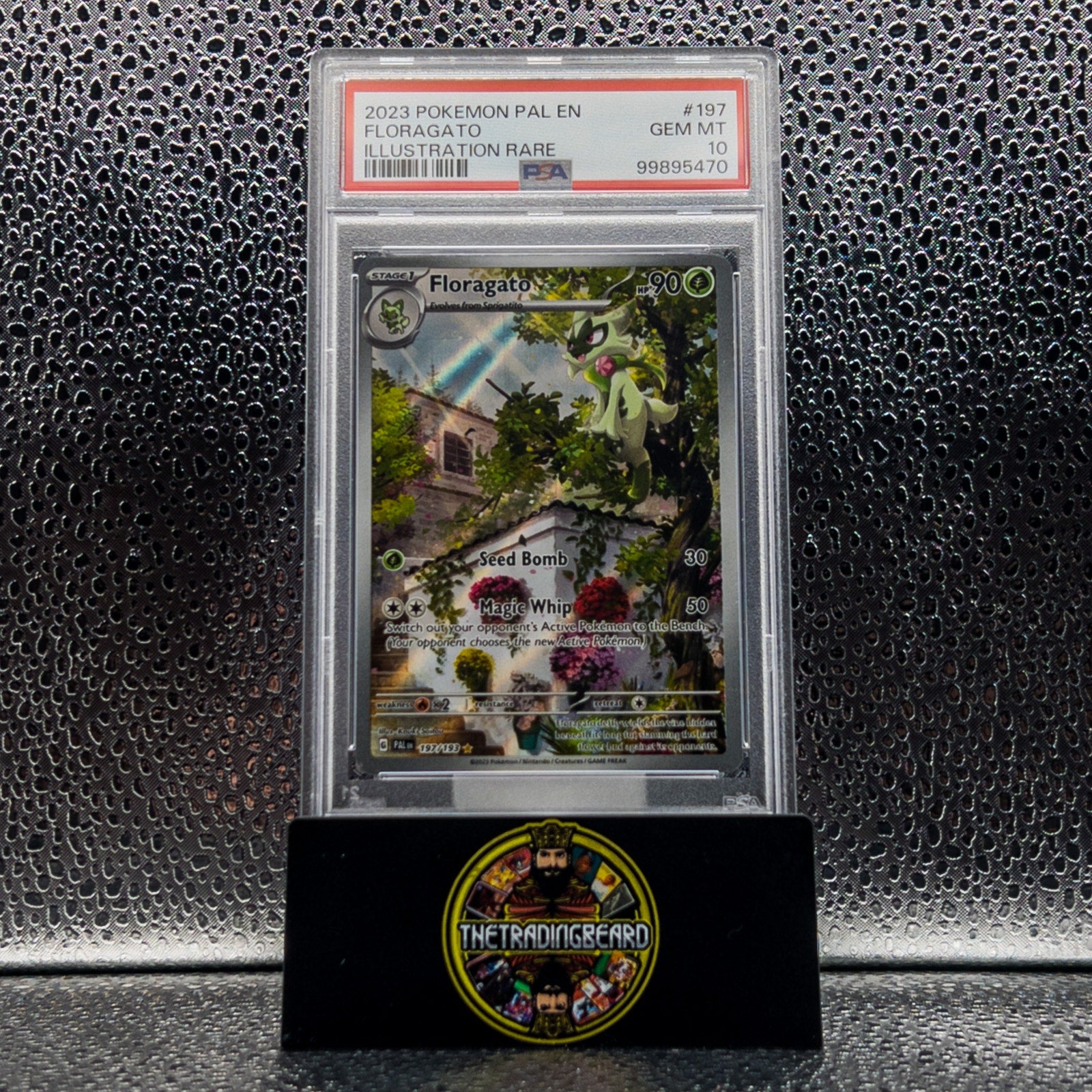 PSA 10 - 2023 Pokemon Pal En-Paldea Evolved Floragato #197